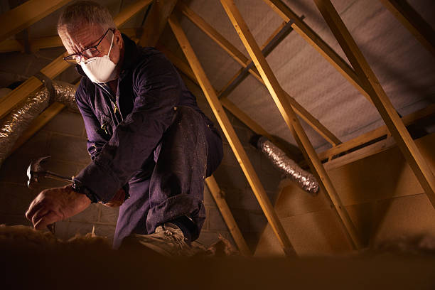 Types of Insulation We Offer in Braddock, PA